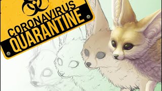 QUARANTINE PROJECT EP 10 - Fennec Fox (drawing request)