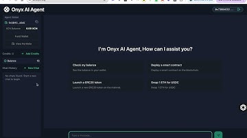 The Onyx AI Agent and How to Navigate through it