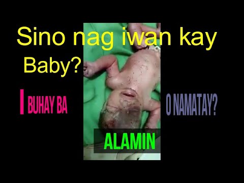 Video: Paano Matukoy Kung Ang Isang Loro Ay Bata O Hindi