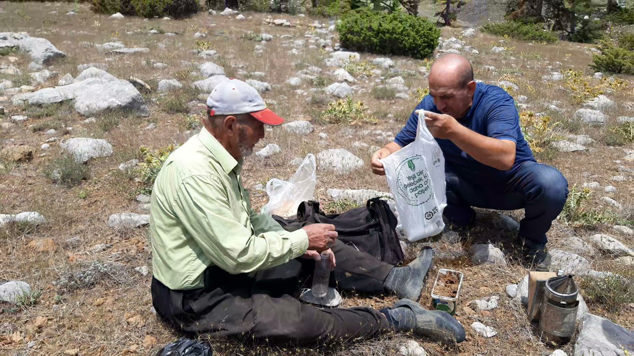 Arı avcıları .( kanalımız nasıl ? inceleyin beğenirseniz abone olun )