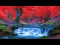 Heavenly Relaxing Music | Relaxing Violin & Cello 🎻 Calm Instrumental Background Music