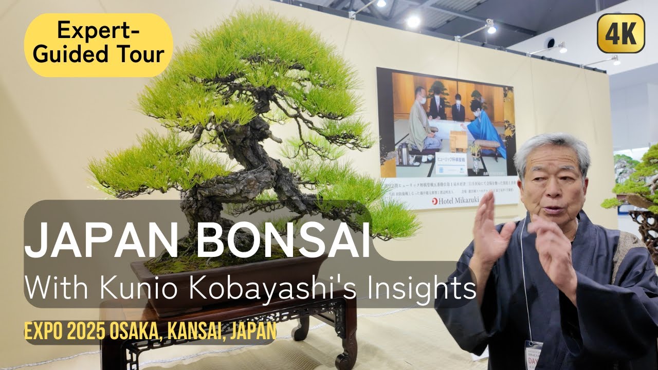 JAPAN BONSAI（盆栽） and SUISEKI（水石）| With Master Kobayashi Kunio's Explanation | Expo 2025 Osaka Japan