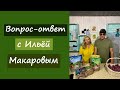 Вопрос-ответ с Ильёй Макаровым