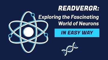 Exploring the Fascinating World of Neurons: The Building Blocks of the Human Brain