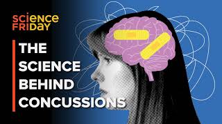 How do concussions affect the brain