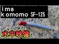 ima komomo SF-125の水中映像 コモモ 125