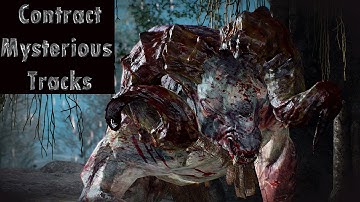 The Witcher 3 Wild Hunt Gameplay Walkthrough - Monster Contract - Mysterious Tracks [1080p HD]