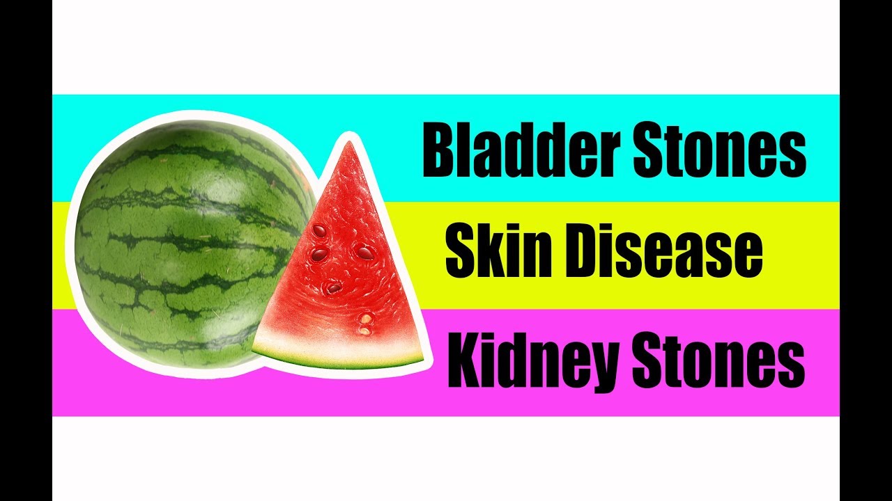 WATERMELON | Healing Wonders of Plants video to gif