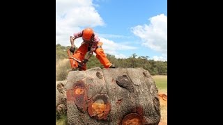 prabos chainsaw boots