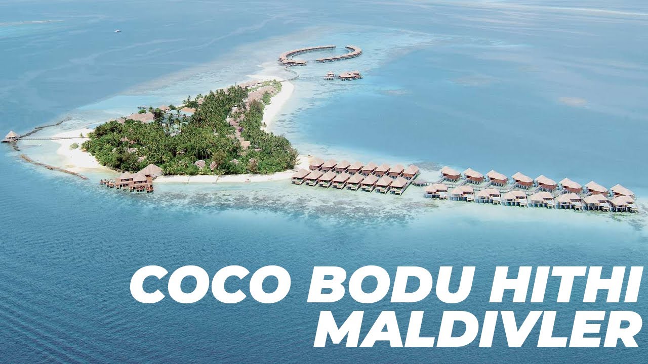 Island episode. Bodu Hithi, Мальдивы. Coco Palm bodu Hithi Мальдивы. Карта Coco bodu Hithi Maldives. Coco bodu Hithi Maldives 5.