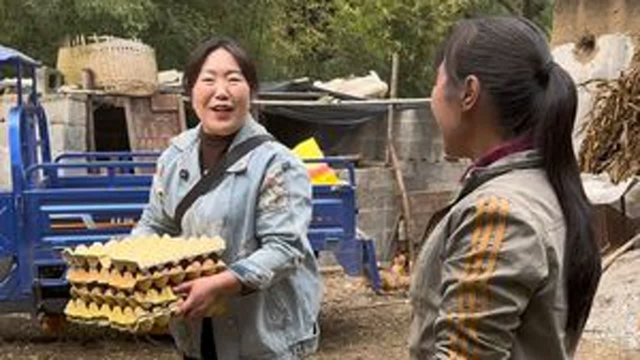 今日遇见了一个年轻姐妹搞养殖。猪肥鸡壮，满满生机。只要肯努力，处处皆希望，也愿我们都能在生活中绽放属于自己的精彩，加油#三农人#我的乡村生活 #土特产走出大山 #神农架