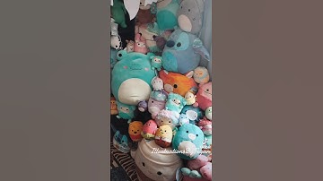 I officially have my own Squishmallows planet! #squishmallows #squishmallowcollection #squishmallow