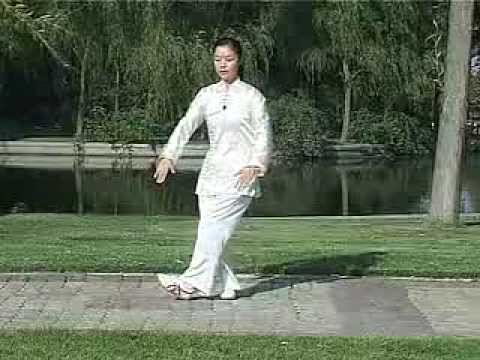 邱慧芳精講42式太極拳 (19~33 )