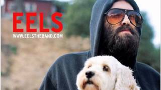 Eels - Woman Driving, Man Sleeping