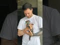 子猫を助けたら、世界一可愛いハイタッチをされた