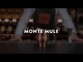 How to make monte mule by amaro montenegro
