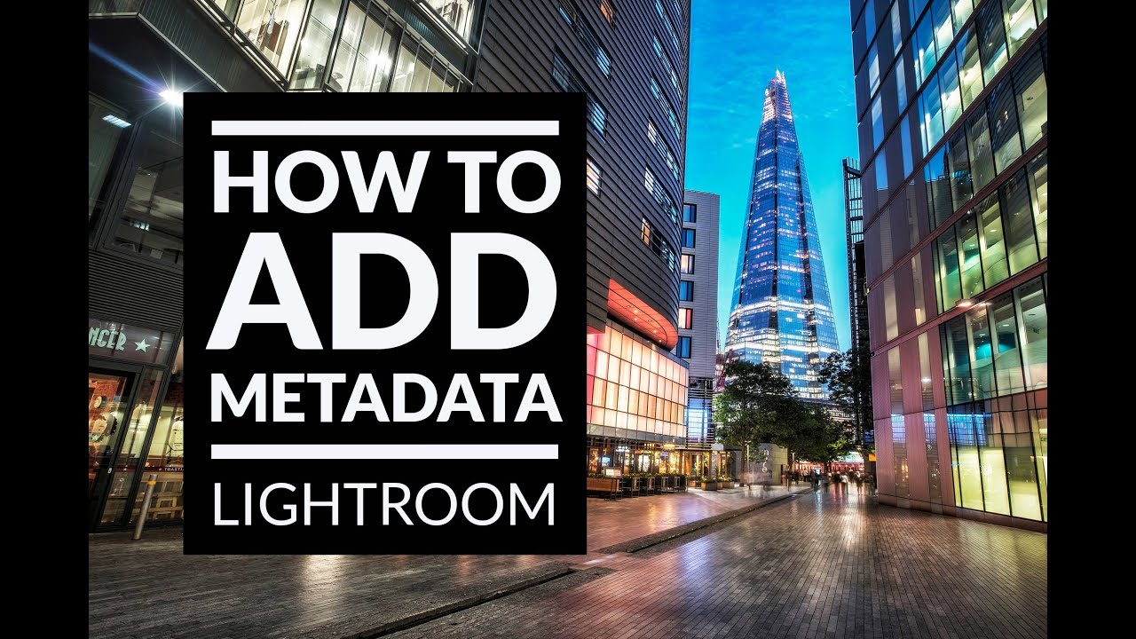 How to Add Metadata to Your Photos in Lightroom