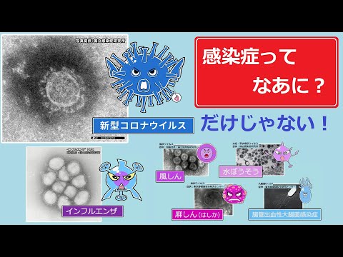 【新型コロナだけじゃない！】感染症ってなあに？「知ってアクション！感染症の予防＃４その１」