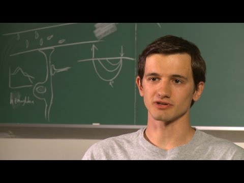 Dmitriy Timerman - Biomedical Engineering