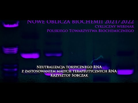 Neutralizacja toksycznego RNA z zastosowaniem małych terapeutycznych RNA - prof. Krzysztof Sobczak