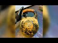 НЕВЕРОЯТНАЯ реставрация гири. Kettlebell restoration.