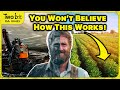 These Plants MINE METALS, Here's How!