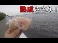【ふれーゆ裏】1年間冷凍庫に眠っていた鶏のささみで魚は釣れるのか？【2019.06.14】