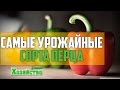 САМЫЕ УРОЖАЙНЫЕ СОРТА ПЕРЦА