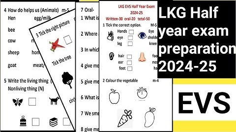 LKG EVS Half Year Exam Question Paper 2024-25|LKG EVS Worksheet|Junior Kg EVS Worksheet