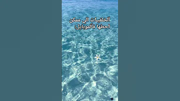 ان شاء الله يصير ترند 