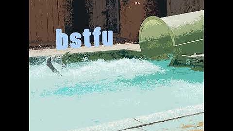 Thumbnail of BSTFU