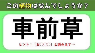 植物の難読漢字 難しいけど面白い問題 難問揃いの漢字読みクイズを紹介 全問 Youtube