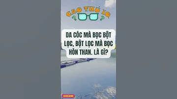 Câu Đố Vui Nhộn 2: Thử Thách Tư Duy Logic Của Bạn p33 | Cao Thủ IQ #funny #dovui #giaitri #haihuoc