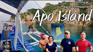 Apo Island Dumaguete Diving Dauin Philippines #philippines #apoisland #dumaguete #diving