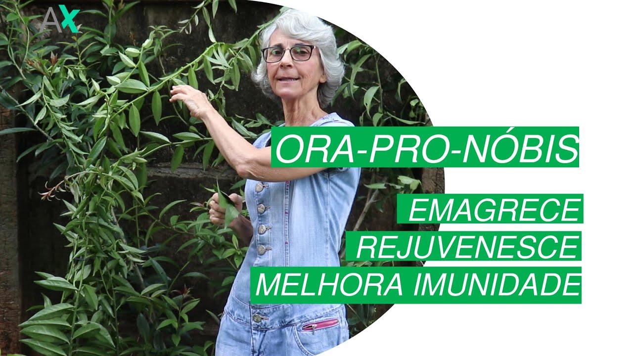 Ora-pro-nóbis – Emagrece, Rejuvenesce, Melhora Imunidade