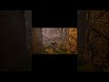 Abandoned Redcopse #lordsofthefallen