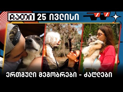 ერთგული მეგობრები - ძაღლები | ჩათი