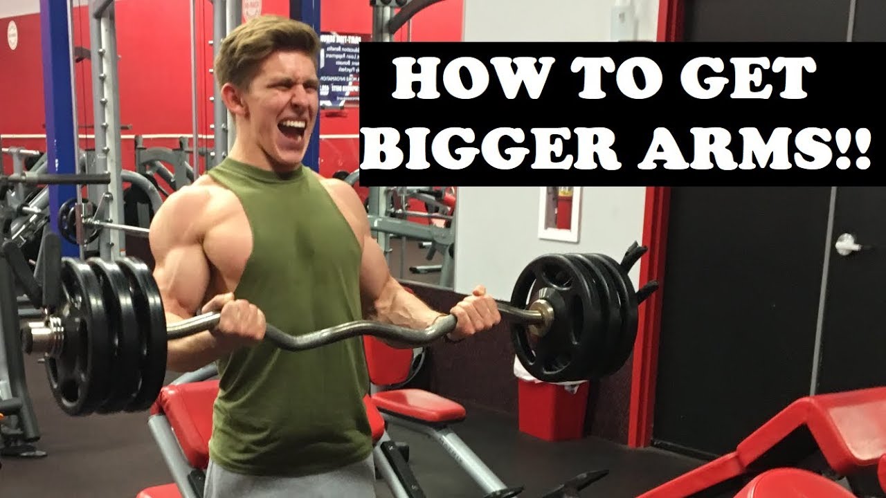 HOW TO GET BIGGER ARMS - YouTube
