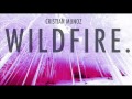 Wildfire  cristian muoz