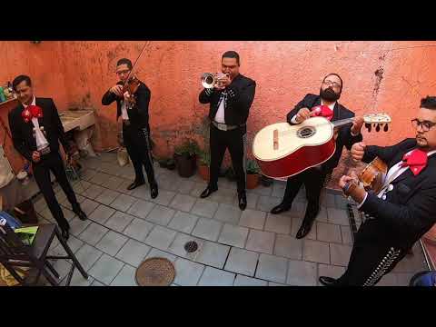 Yo quiero ser / Mariachi Tradición Tapatía