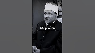 الا تحزني قد جعل ربك تحتك سريا | عبد الباسط عبد الصمد سورة مريم 🕊️ #قرآن #quran