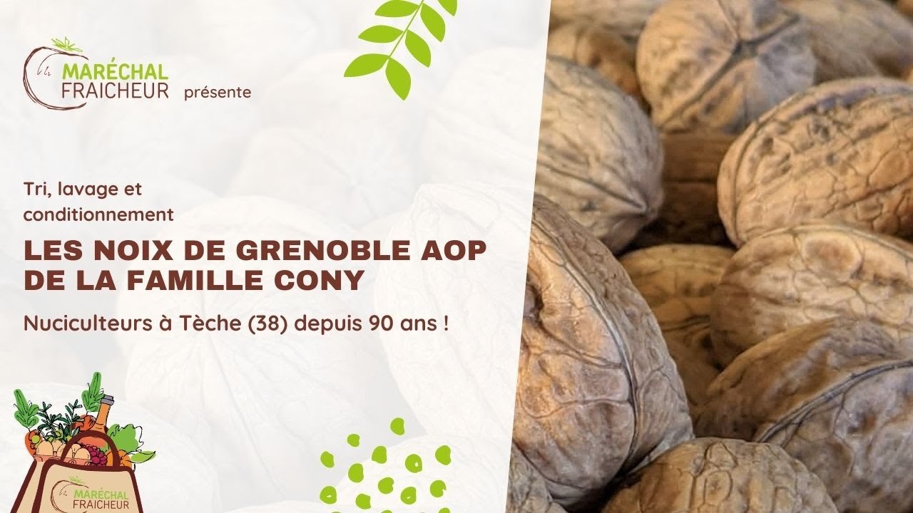 Noix de Grenoble et du Périgord AOP