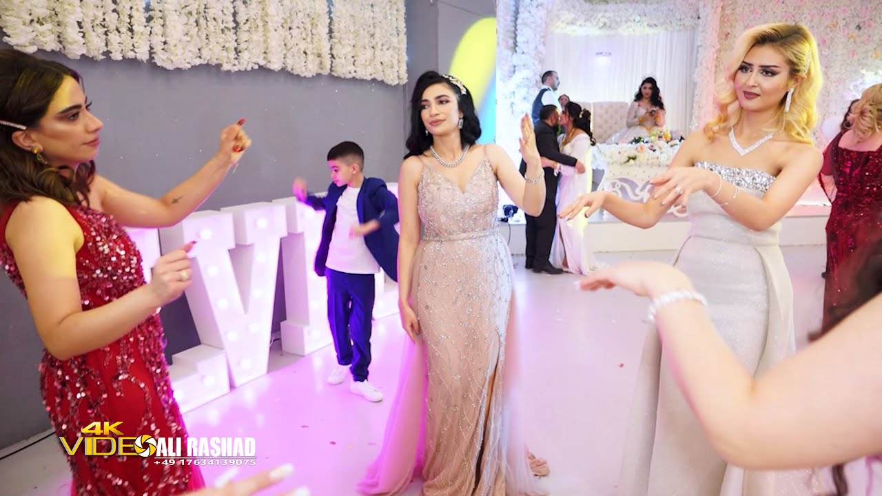 اعراس سويسر الفنان واليد الوا Dawat Abed & Roya | 4k