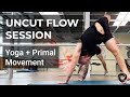 Advanced Yoga &amp; Animal Flow Practice - An Uncut Flow Session