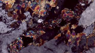 Epidote in Unakite, Crossed Polars