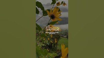الله يبسط الرزق لمن يشاء القارئ اسلام صبحي🤍