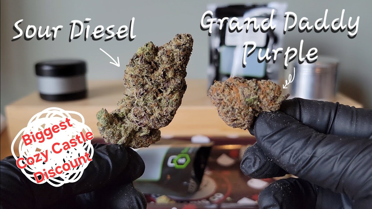 My two favorite strains from California Gold Farm - THCa Flower Review