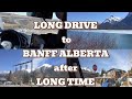 LONG DRIVE to BANFF ALBERTA after LONG TIME||@Canadahomevlogs