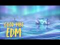 Chill EDM Mix 🌊 Calm Music for Study & Work