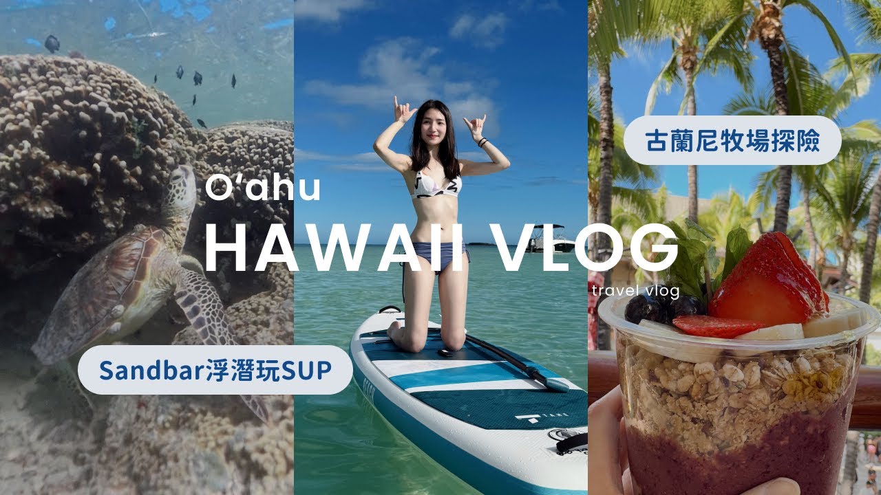 夏威夷VLOG🌺ep2｜歐胡島美食｜Sandbar跟海龜浮潛玩SUP🏝️｜古蘭尼牧場🦕｜看海豚鯨魚🐬｜Hawaii Vlog